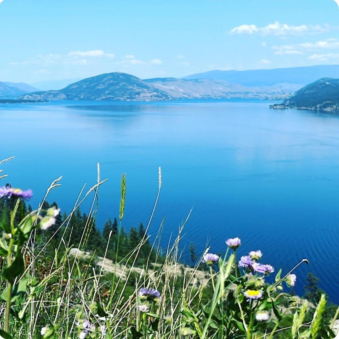 Jasmine Cottage Kelowna Esterno foto