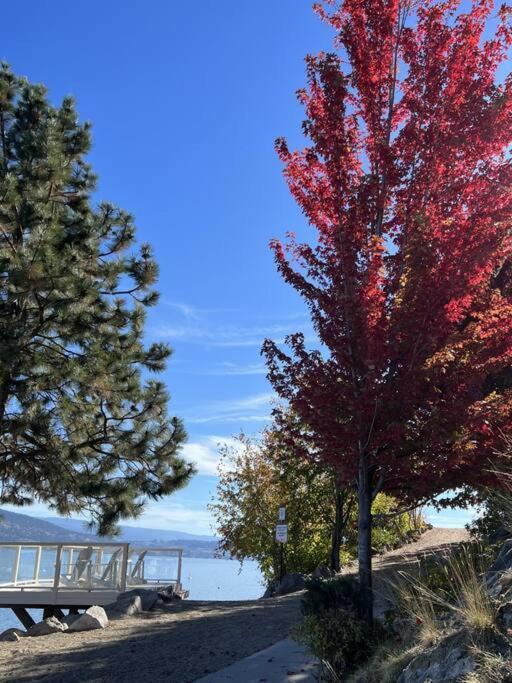 Jasmine Cottage Kelowna Esterno foto